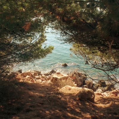 bandol