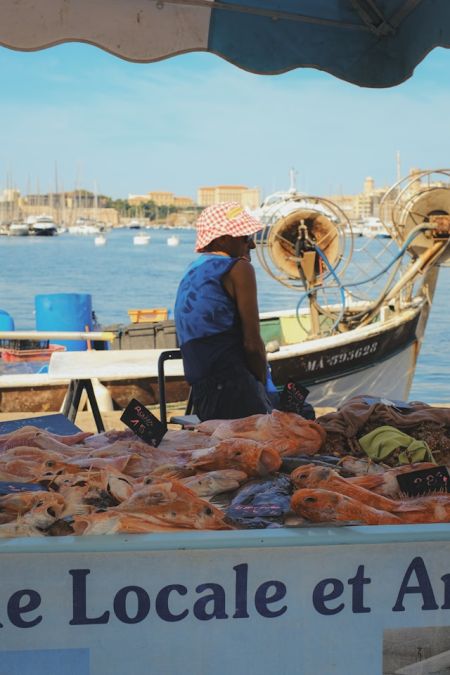 Quel vin pour accompagner une bouillabaisse ? | Gencel : Cave et Bar à vin Cannes