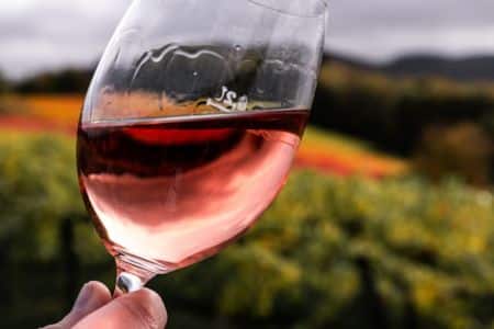 Discovering the Bandol, Bellet and Palette appellations | Gencel : Cave et Bar à vin Cannes