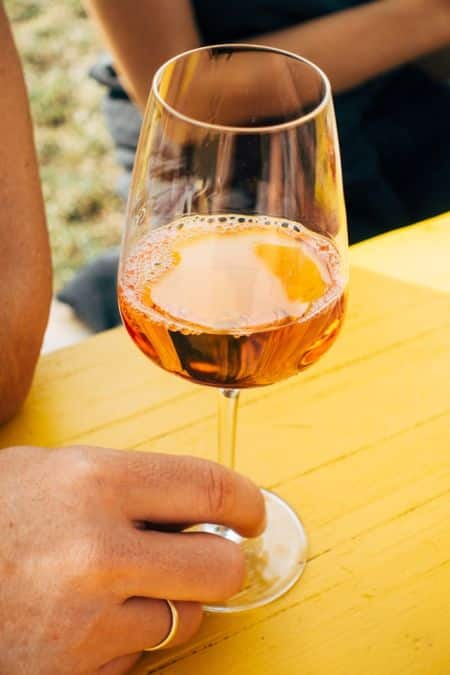 Discovering the Bandol, Bellet and Palette appellations | Gencel : Cave et Bar à vin Cannes